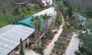 Center garden dall'alto - soc. agr. eurogarden Forchia!