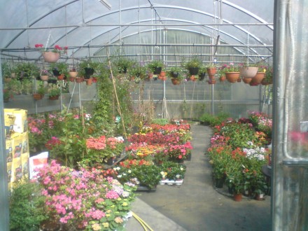 La serra - eurogarden