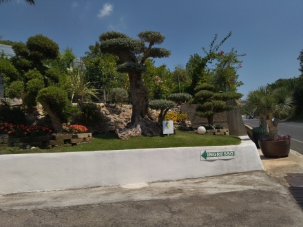 Ingresso vivaio - soc. agr. eurogarden Forchia!