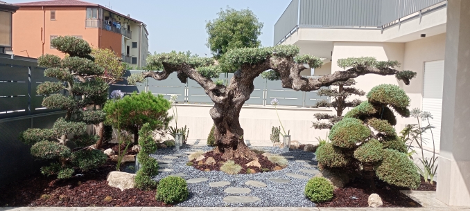 Ultimo progetto realizzato giardino Zen sensoriale - soc. agr. eurogarden Forchia!